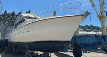 Marine Project Princess 412 Fly