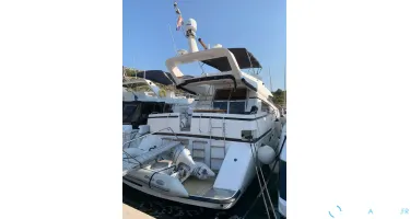 Johnson  56