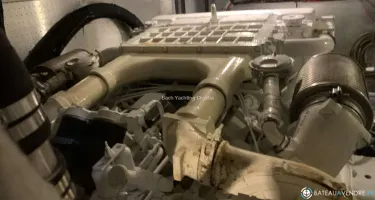 Johnson  56