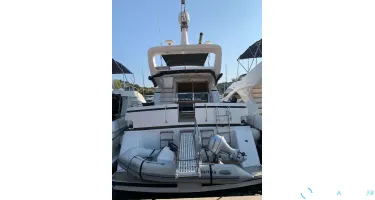 Johnson  56