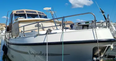 Pedro Boat Levanto 38