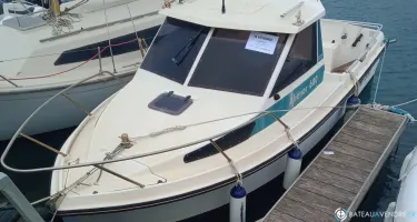 Ocqueteau Alienor 600