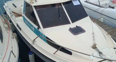 Ocqueteau Alienor 600