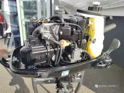 MERCURY F4 arbre court