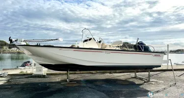Boston Whaler  210 Montauk