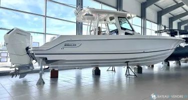 Boston Whaler  360 Outrage