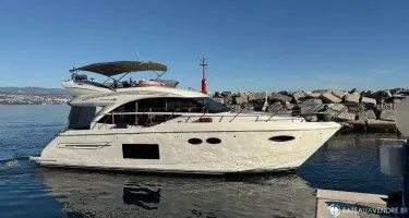 Princess  49