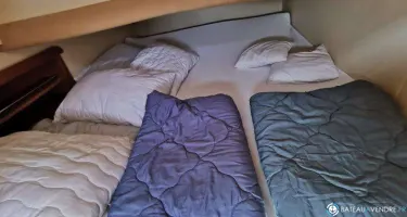 Sealine  SC 39