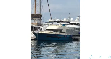 ACM Dynasty 43
