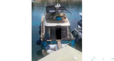 ACM Dynasty 43