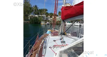 Metalu Swing 50