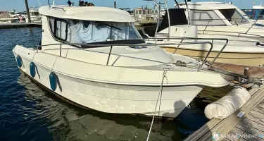 Quicksilver  650 Camping