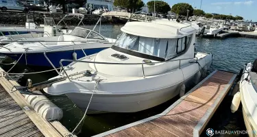 Quicksilver  650 Camping