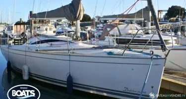 Delphia  28