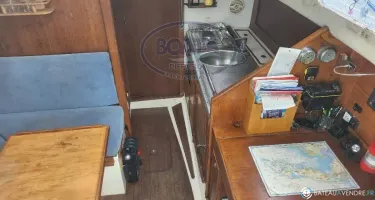 Trident Marine Warrior 35