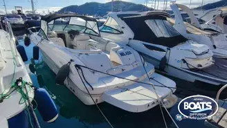 Sea Ray  290