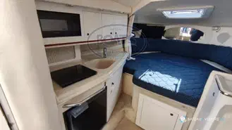 Sea Ray Amberjack 290