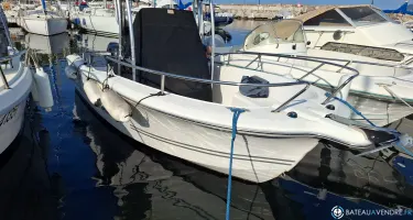 Kelt White Shark 206