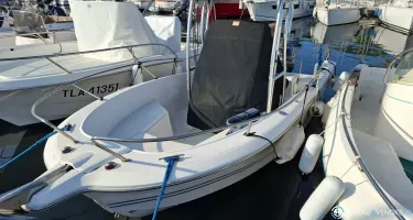 Kelt White Shark 206