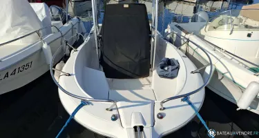 Kelt White Shark 206