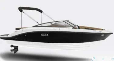 Sea Ray  190 SPX