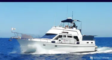 Island Gypsy  40 Classic