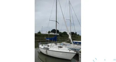 Kelt  620