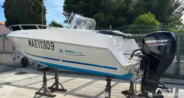 Quicksilver  500 Commander