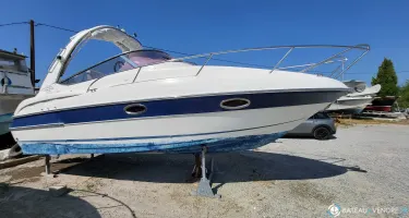 Bavaria  25 Sport