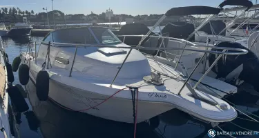 Wellcraft Excel 23