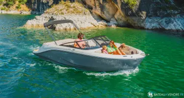 Bayliner V20