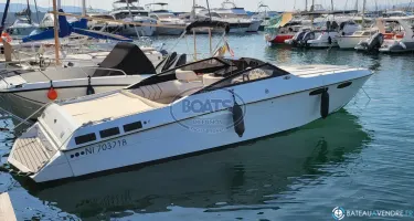 Chris Craft  260 Stinger