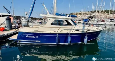Delphia Guernsey 28
