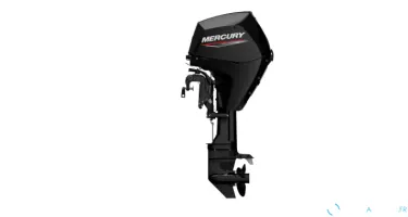 MERCURY F30 EFI ELPT
