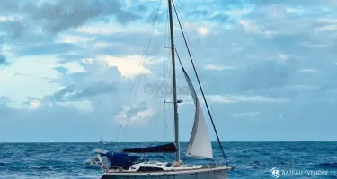 Allures Yachting Allures 44