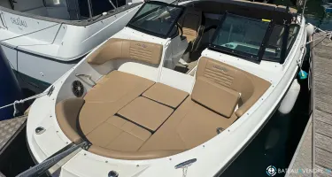 Sea Ray  210