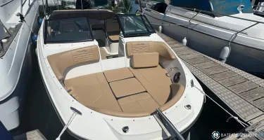 Sea Ray  210