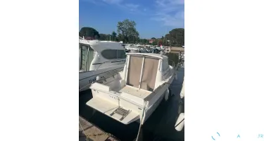 Rodman  700