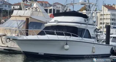 Black Fin Convertible 38