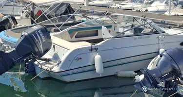 Four Winns Sundowner 195