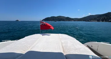 Princess  V50