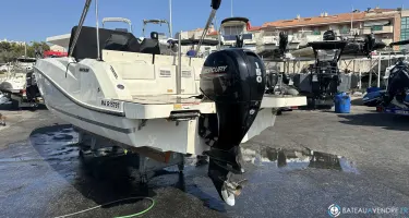 Quicksilver  675