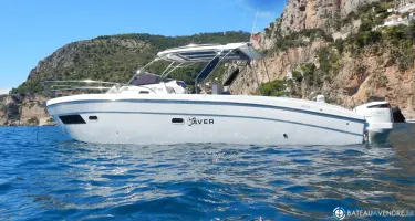 Saver  300 Walk Around
