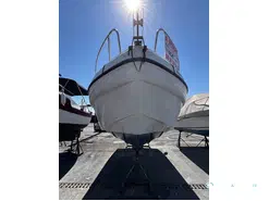 Ranieri Shadow 23