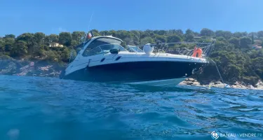 Sea Ray  305 Sundancer