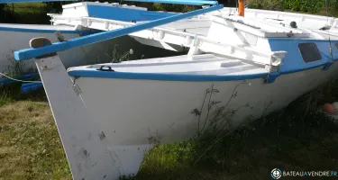 Wharram Tiki 21