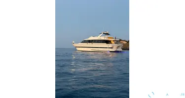 Falcon  80