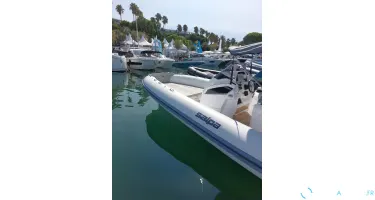 Salpa Soleil 28