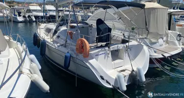 Hunter  31