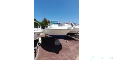 Kelt White Shark 175